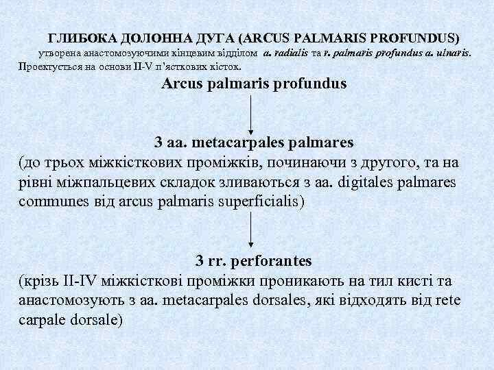 ГЛИБОКА ДОЛОННА ДУГА (ARCUS PALMARIS PROFUNDUS) утворена анастомозуючими кінцевим відділом a. radialis та r.