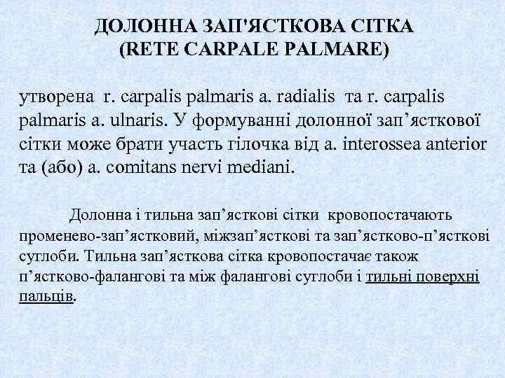 ДОЛОННА ЗАП'ЯСТКОВА СІТКА (RETE CARPALE PALMARE) утворена r. carpalis palmaris a. radialis та r.