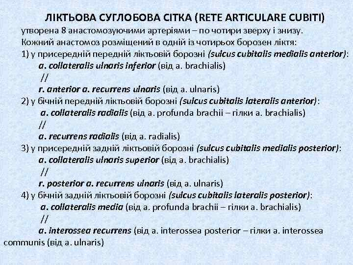 ЛІКТЬОВА СУГЛОБОВА СІТКА (RETE ARTICULARE CUBITI) утворена 8 анастомозуючими артеріями – по чотири зверху