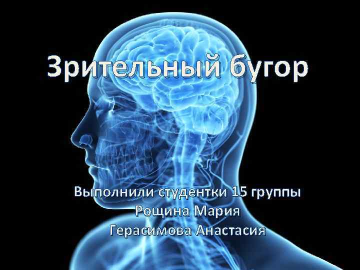 Зрительный бугор Выполнили студентки 15 группы Рощина Мария Герасимова Анастасия 