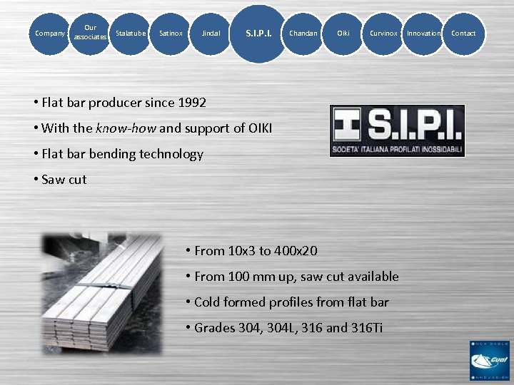 Company Our associates Stalatube Satinox Jindal S. I. P. I. Chandan Oiki Curvinox •