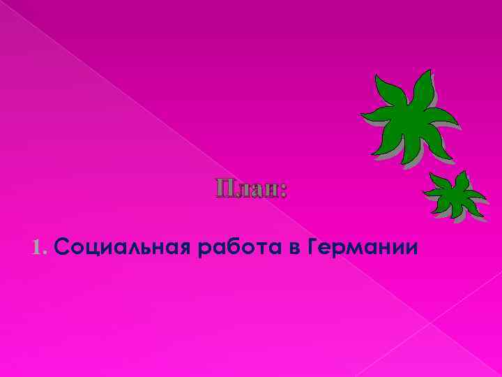 План: 1. Социальная работа в Германии 