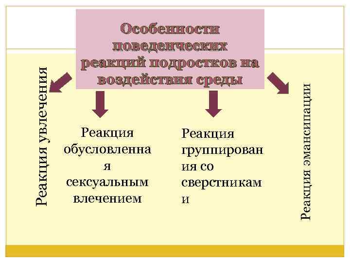 Реакция обусловленна я сексуальным влечением Реакция группирован ия со сверстникам и Реакция эмансипации Реакция