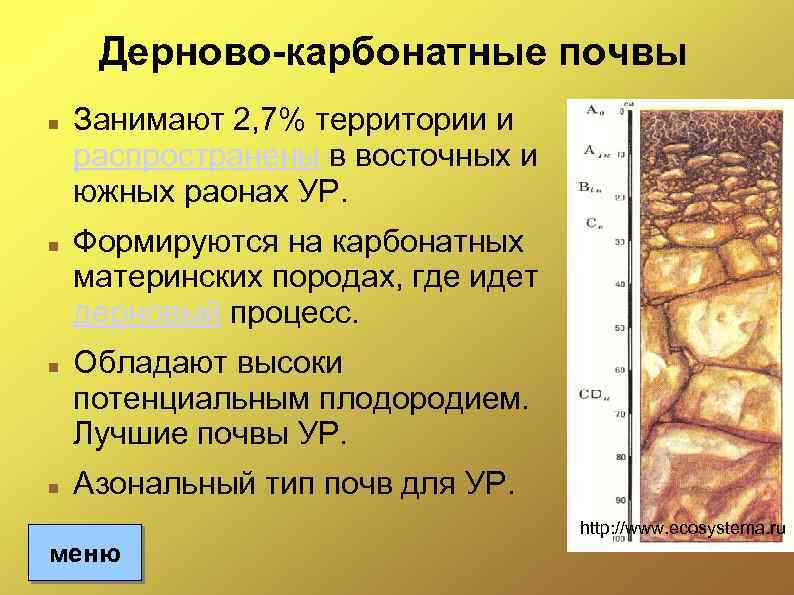 Дерново-карбонатные почвы Занимают 2, 7% территории и распространены в восточных и южных раонах УР.