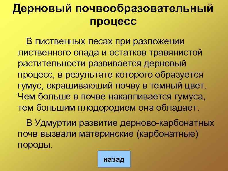 Дерновый почвообразовательный процесс В лиственных лесах при разложении лиственного опада и остатков травянистой растительности