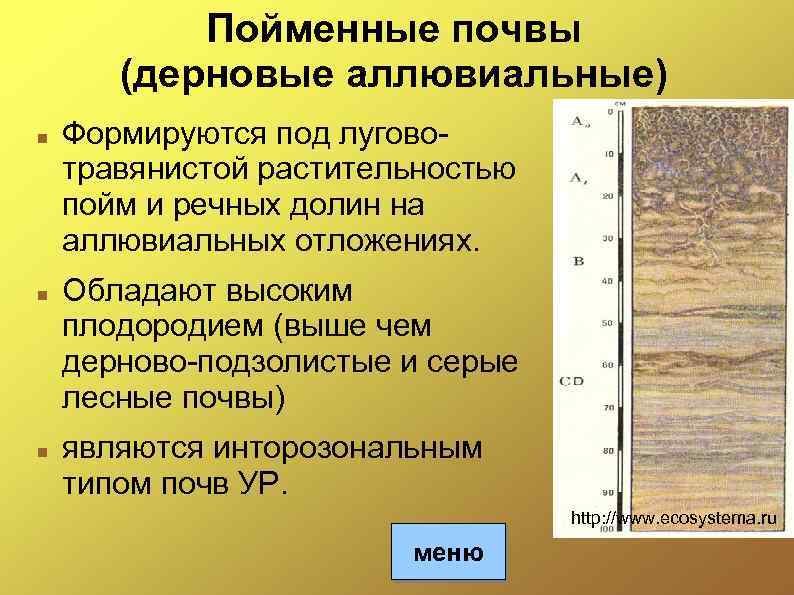 Пойменные почвы презентация