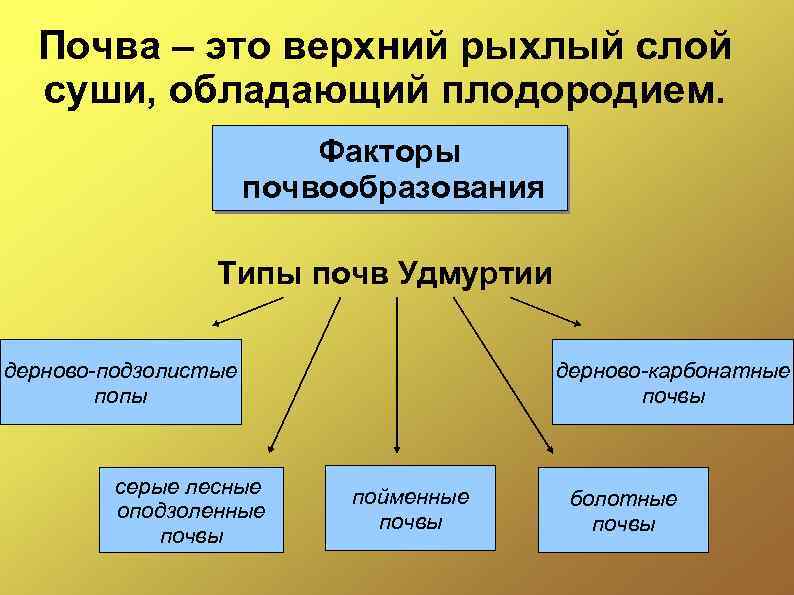 Факторы почвообразования фото