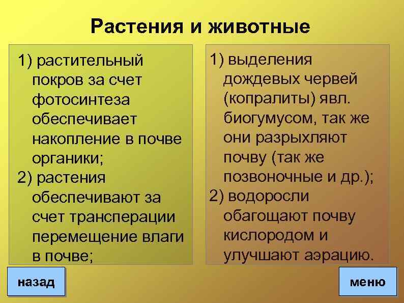 Растения и животные 1) растительный покров за счет фотосинтеза обеспечивает накопление в почве органики;