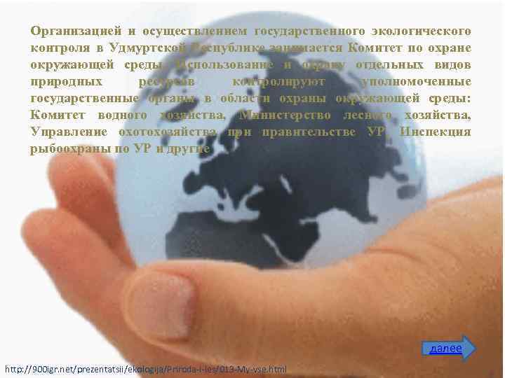 Организацией и осуществлением государственного экологического контроля в Удмуртской Республике занимается Комитет по охране окружающей
