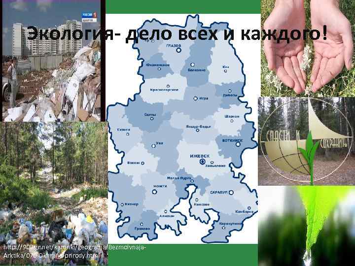 Картинка экология дело каждого