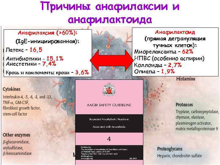 Причины анафилаксии и анафилактоида Анафилаксия (>60%): (Ig. E-инициированная): Латекс – 16, 5 Антибиотики -