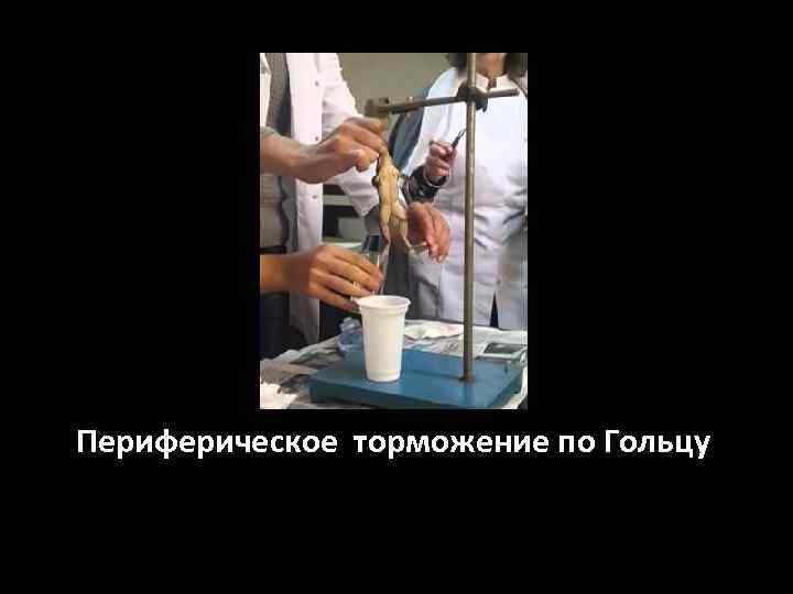 Периферическое торможение по Гольцу 