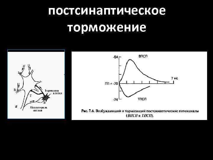 постсинаптическое торможение 