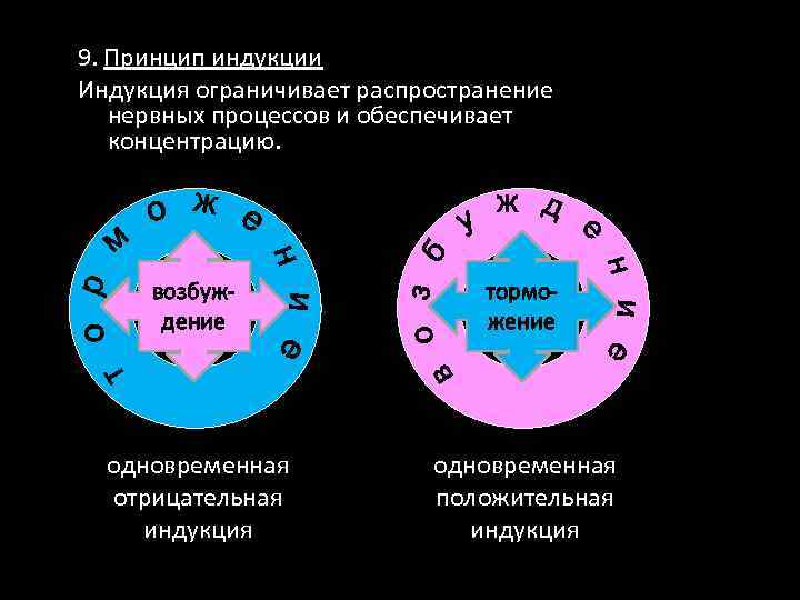 9. Принцип индукции Индукция ограничивает распространение нервных процессов и обеспечивает концентрацию. возбуждение торможение одновременная