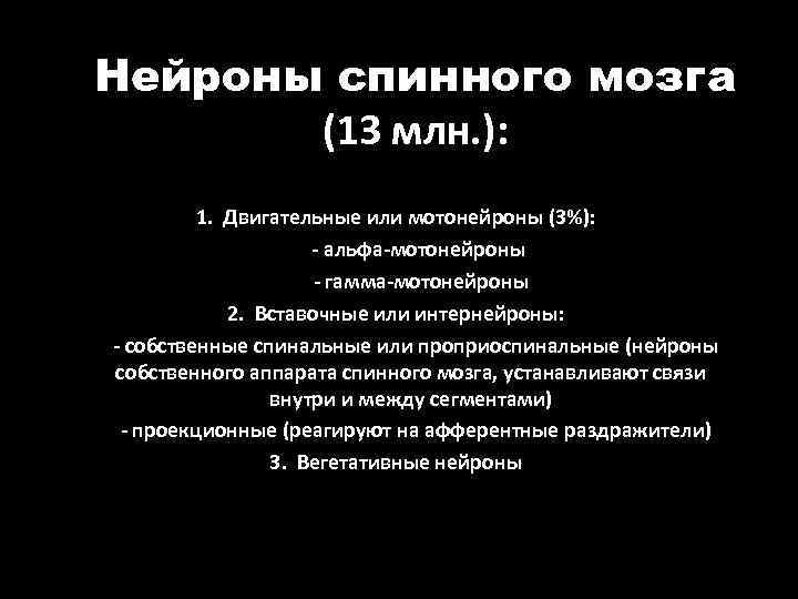 Нейроны спинного мозга (13 млн. ): 1. Двигательные или мотонейроны (3%): - альфа-мотонейроны -