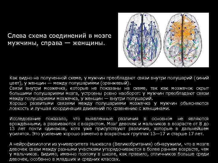 Слева схема соединений в мозге мужчины, справа — женщины. Как видно на полученной схеме,
