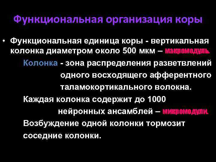 Функциональная организация коры • Функциональная единица коры - вертикальная колонка диаметром около 500 мкм