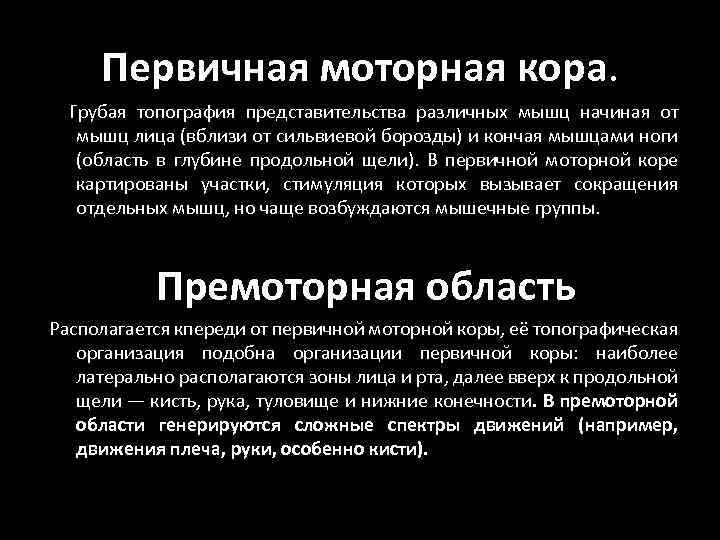 Первичная моторная кора. Грубая топография представительства различных мышц начиная от мышц лица (вблизи от