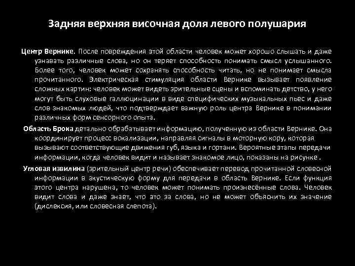 Задняя верхняя височная доля левого полушария Центр Вернике. После повреждения этой области человек может
