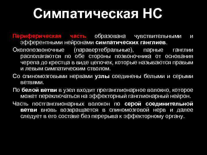 Симпатическая НС Периферическая часть образована чувствительными и эфферентными нейронами симпатических ганглиев. Околопозвоночные (паравертебральные), парные