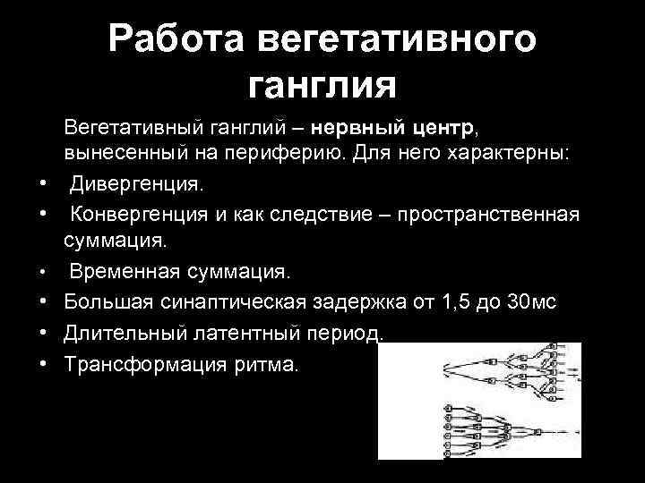 Работа вегетативного ганглия • • • Вегетативный ганглий – нервный центр, вынесенный на периферию.