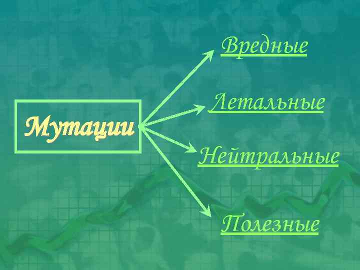 Вредные Мутации Летальные Нейтральные Полезные 