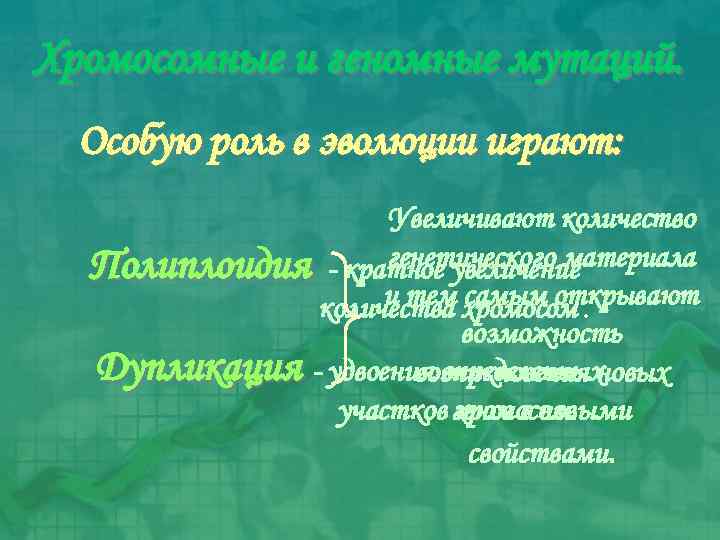 Хромосомные и геномные мутаций. Особую роль в эволюции играют: Увеличивают количество генетического материала Полиплоидия