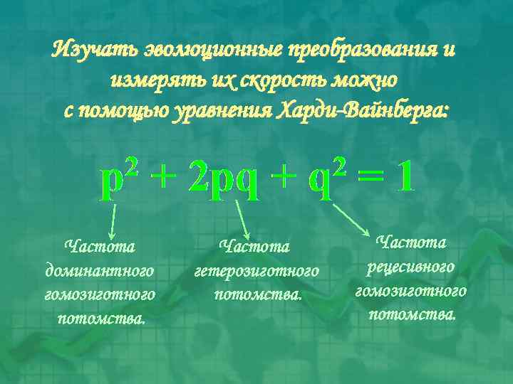 Изучать эволюционные преобразования и измерять их скорость можно с помощью уравнения Харди-Вайнберга: Частота доминантного
