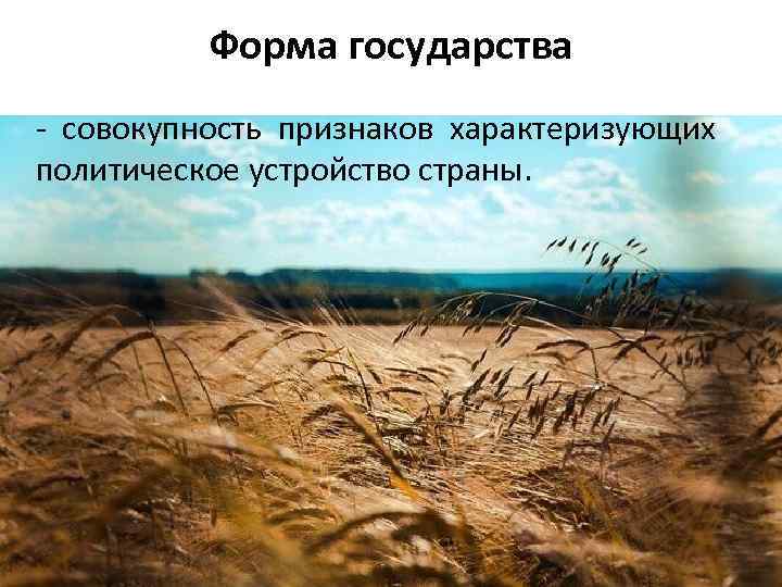 Форма государства - совокупность признаков характеризующих политическое устройство страны. 