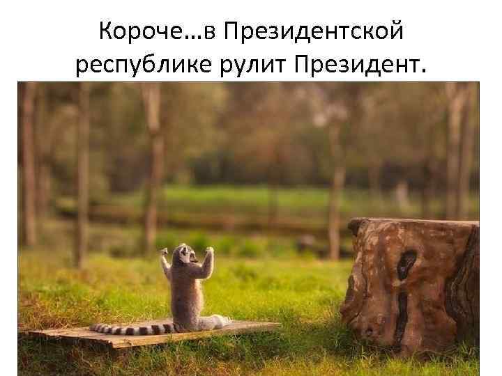 Короче…в Президентской республике рулит Президент. 