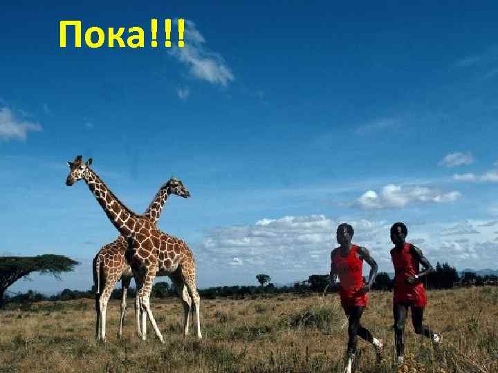 Пока!!! 