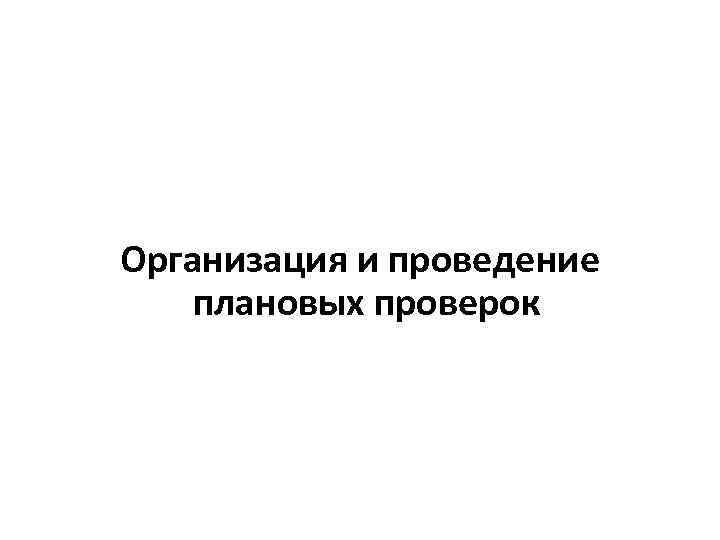 Организация и проведение плановых проверок 