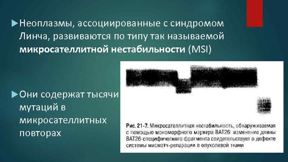  Неоплазмы, ассоциированные с синдромом Линча, развиваются по типу так называемой микросателлитной нестабильности (MSI)