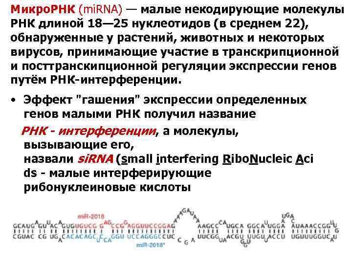 Микро. РНК (mi. RNA) — малые некодирующие молекулы РНК длиной 18— 25 нуклеотидов (в