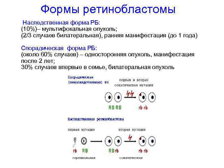 Формы ретинобластомы Наследственная форма РБ: (10%)– мультифокальная опухоль; (2/3 случаев билатеральная), ранняя манифестация (до