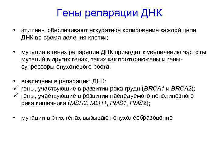 Гены репарации ДНК • эти гены обеспечивают аккуратное копирование каждой цепи ДНК во время