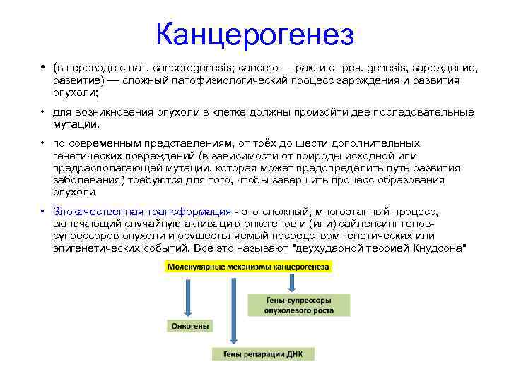 Канцерогенез • (в переводе с лат. cancerogenesis; cancero — рак, и с греч. genesis,