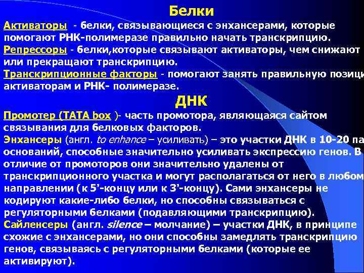 Белки Активаторы - белки, связывающиеся с энхансерами, которые помогают РНК-полимеразе правильно начать транскрипцию. Репрессоры