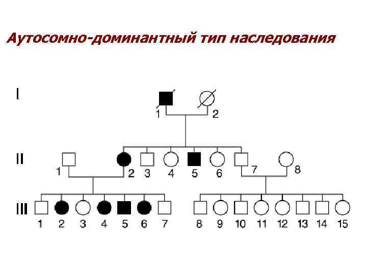 Аутосомно-доминантный тип наследования 