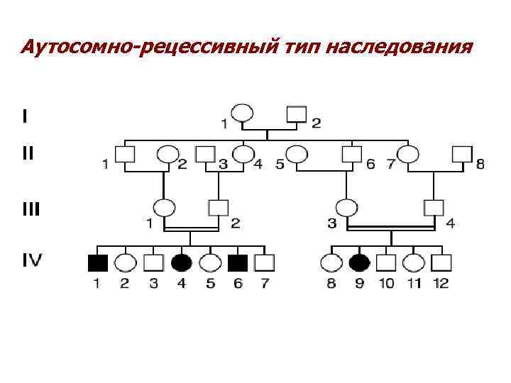 Аутосомно-рецессивный тип наследования 