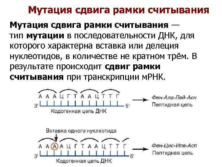 Мутация сдвига рамки считывания — тип мутации в последовательности ДНК, для которого характерна вставка