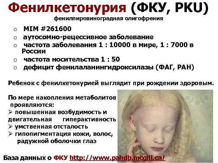 Фенилкетонурия (ФКУ, PKU) фенилпировиноградная олигофрения o MIM #261600 o аутосомно-рецессивное заболевание o частота заболевания