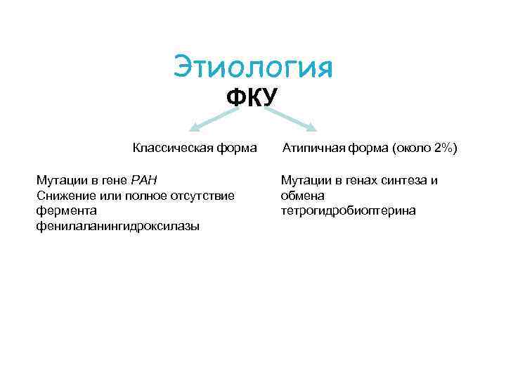Этиология ФКУ Классическая форма Мутации в гене PAH Снижение или полное отсутствие фермента фенилаланингидроксилазы