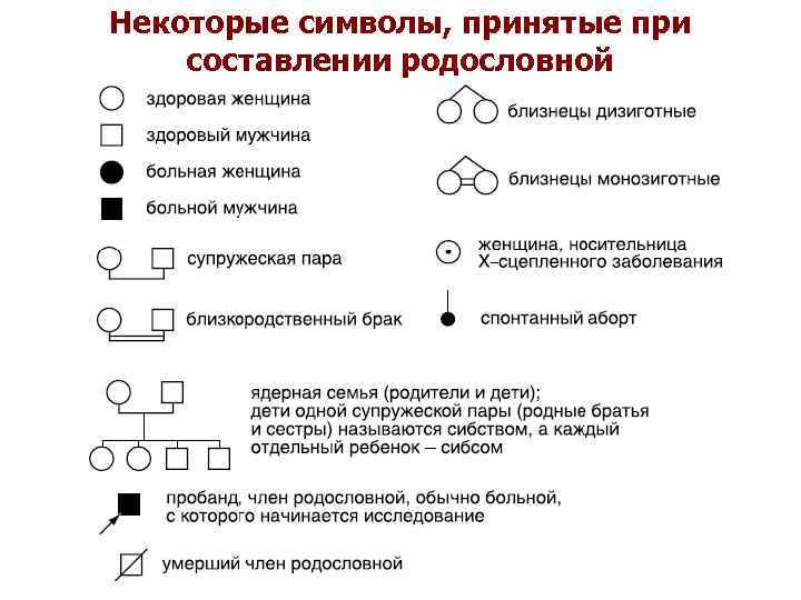 Некоторые символы, принятые при составлении родословной 