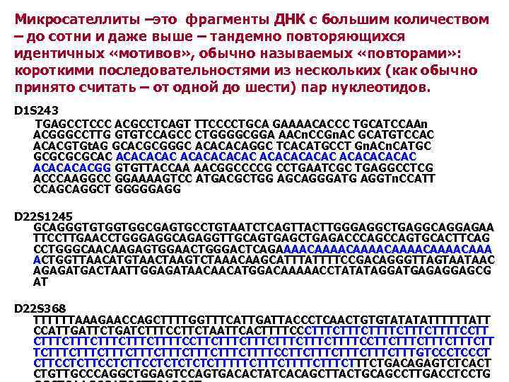 Микросателлиты –это фрагменты ДНК с большим количеством – до сотни и даже выше –
