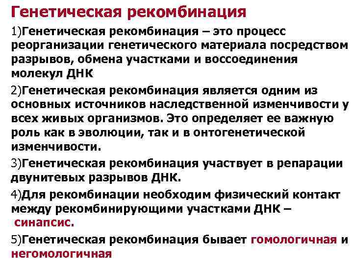 Генетическая рекомбинация 1)Генетическая рекомбинация – это процесс реорганизации генетического материала посредством разрывов, обмена участками