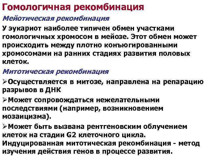 Гомологичная рекомбинация Мейотическая рекомбинация У эукариот наиболее типичен обмен участками гомологичных хромосом в мейозе.