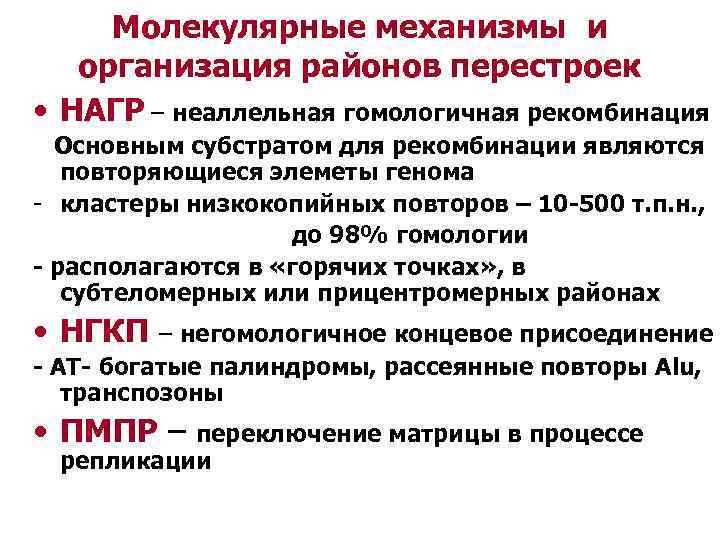 Молекулярные механизмы и организация районов перестроек • НАГР – неаллельная гомологичная рекомбинация Основным субстратом