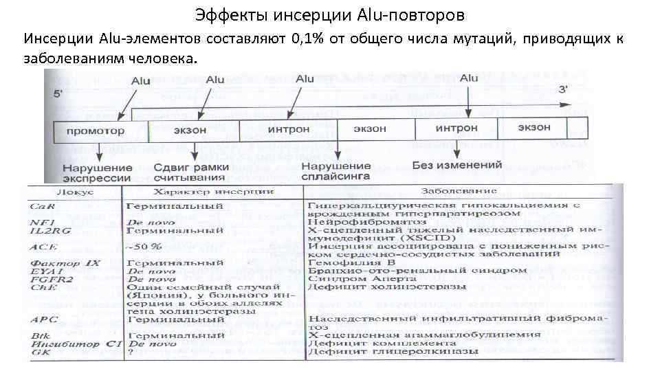 Эффекты инсерции Alu-повторов Инсерции Alu-элементов составляют 0, 1% от общего числа мутаций, приводящих к