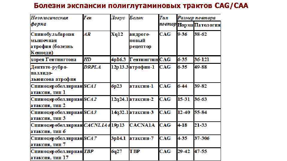 Болезни экспансии полиглутаминовых трактов CAG/CAA 